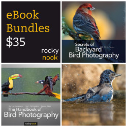 Bird Photography Bundle