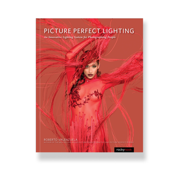 Picture Perfect Lighting