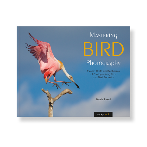 Field Value
post_title Mastering Bird Photography Mastering Bird Photography