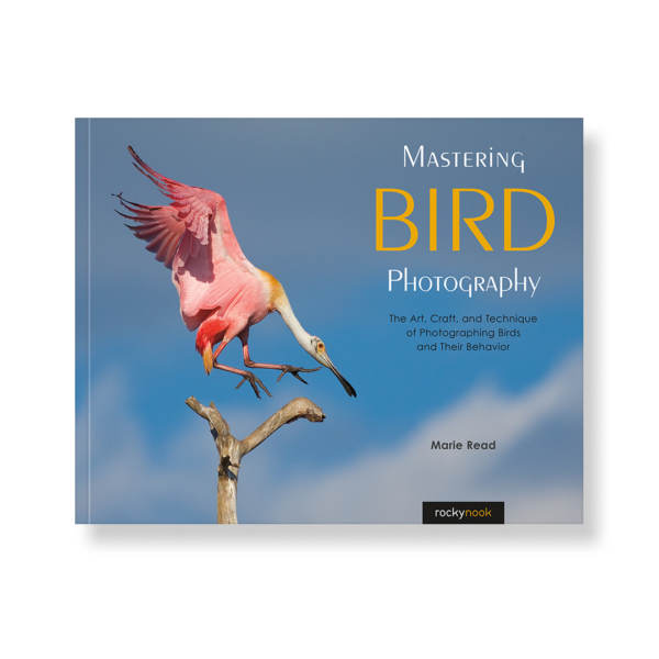 Field Value
post_title Mastering Bird Photography Mastering Bird Photography