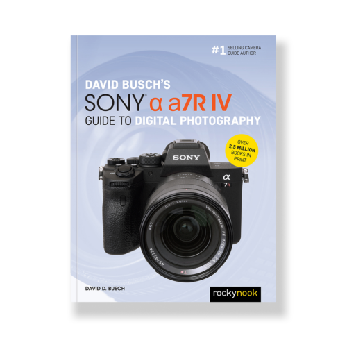 Field Value
post_title David Busch's Sony Alpha a7R IV Guide to Digital Photography David Busch's Sony Alpha a7R IV Guide to Digital Photography