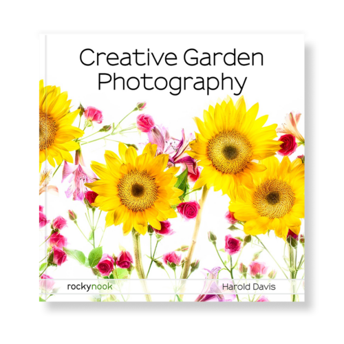 Creative Garden Photography