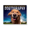 Dogtography