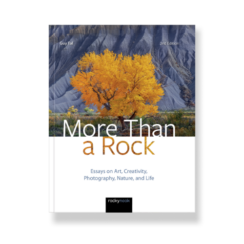 More Than a Rock, 2nd Edition