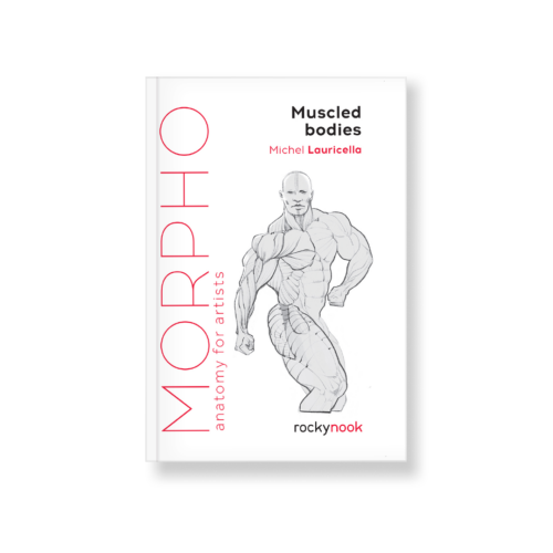 Morpho: Muscled Bodies
