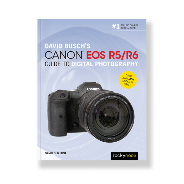 David Busch's Canon EOS R5/R6 Guide to Digital Photography