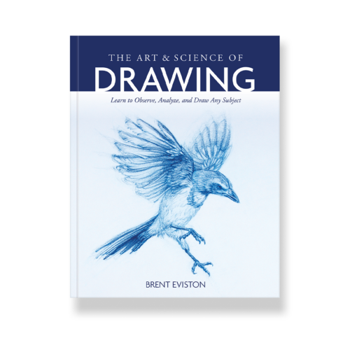 The Art and Science of Drawing