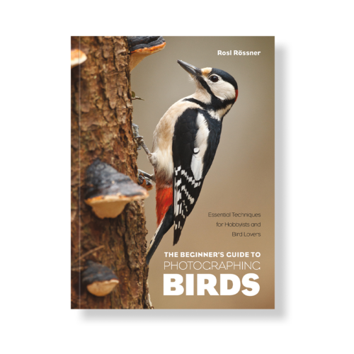 Field Value
post_title The Beginner's Guide to Photographing Birds The Beginner's Guide to Photographing Birds