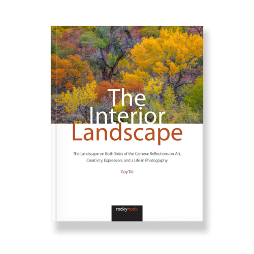 Field Value
post_title The Interior Landscape The Interior Landscape