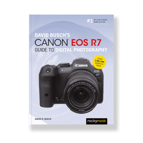 Field Value
post_title David Busch's Canon EOS R7 Guide to Digital Photography David Busch's Canon EOS R7 Guide to Digital Photography