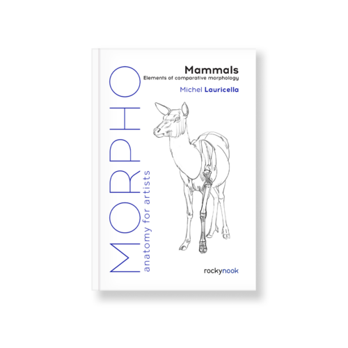 Field Value
post_title Morpho: Mammals Morpho: Mammals