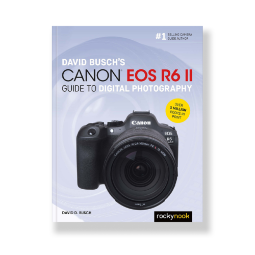 Field Value
post_title David Busch's Canon EOS R6 II Guide to Digital Photography David Busch's Canon EOS R6 II Guide to Digital Photography