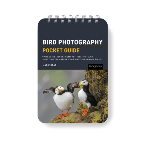 Field Value
post_title Bird Photography: Pocket Guide Bird Photography: Pocket Guide