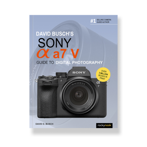 Field Value
post_title David Busch's Sony Alpha a7 V Guide to Digital Photography David Busch's Sony Alpha a7 V Guide to Digital Photography